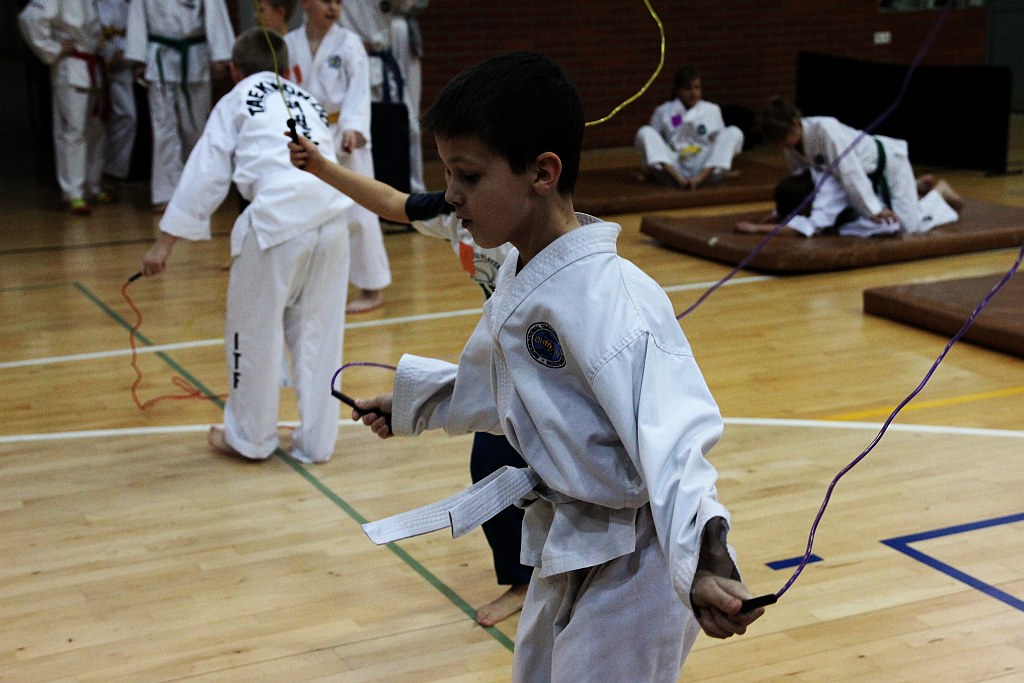 Mistrzostwa Zagłębia Miedziowego w Taekwon-do