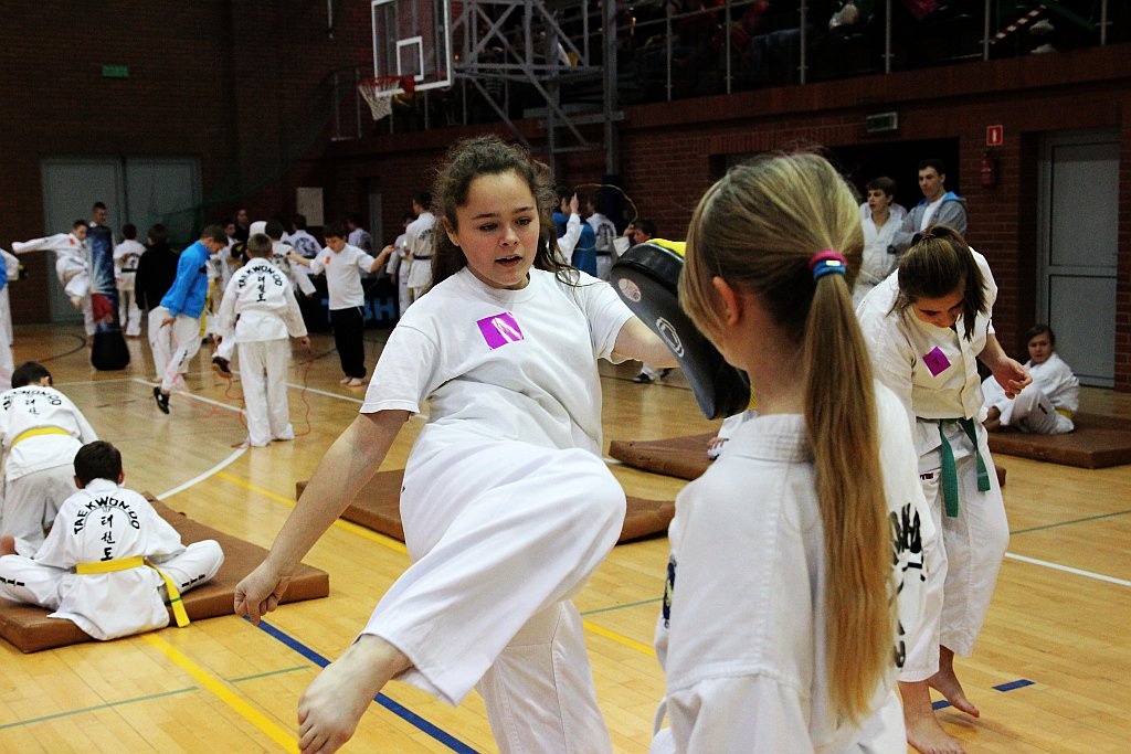 Mistrzostwa Zagłębia Miedziowego w Taekwon-do