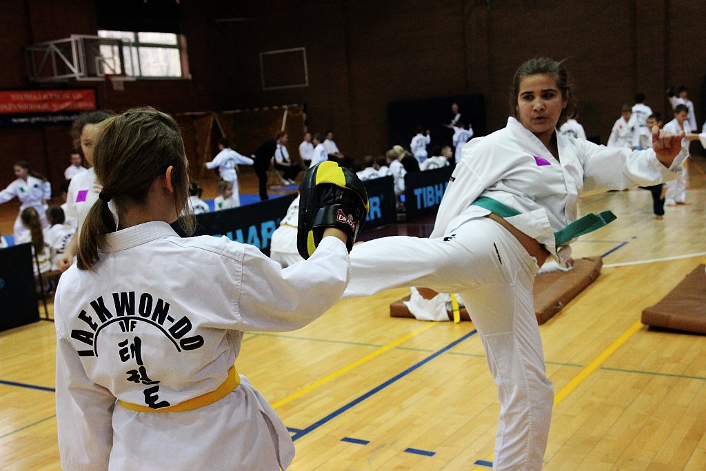 Mistrzostwa Zagłębia Miedziowego w Taekwon-do