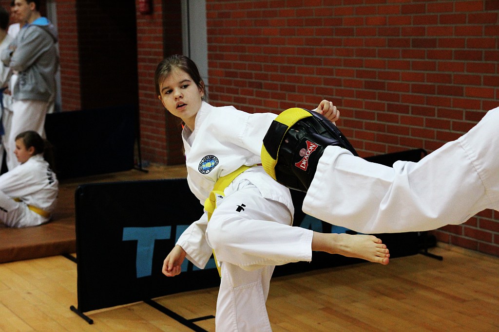 Mistrzostwa Zagłębia Miedziowego w Taekwon-do