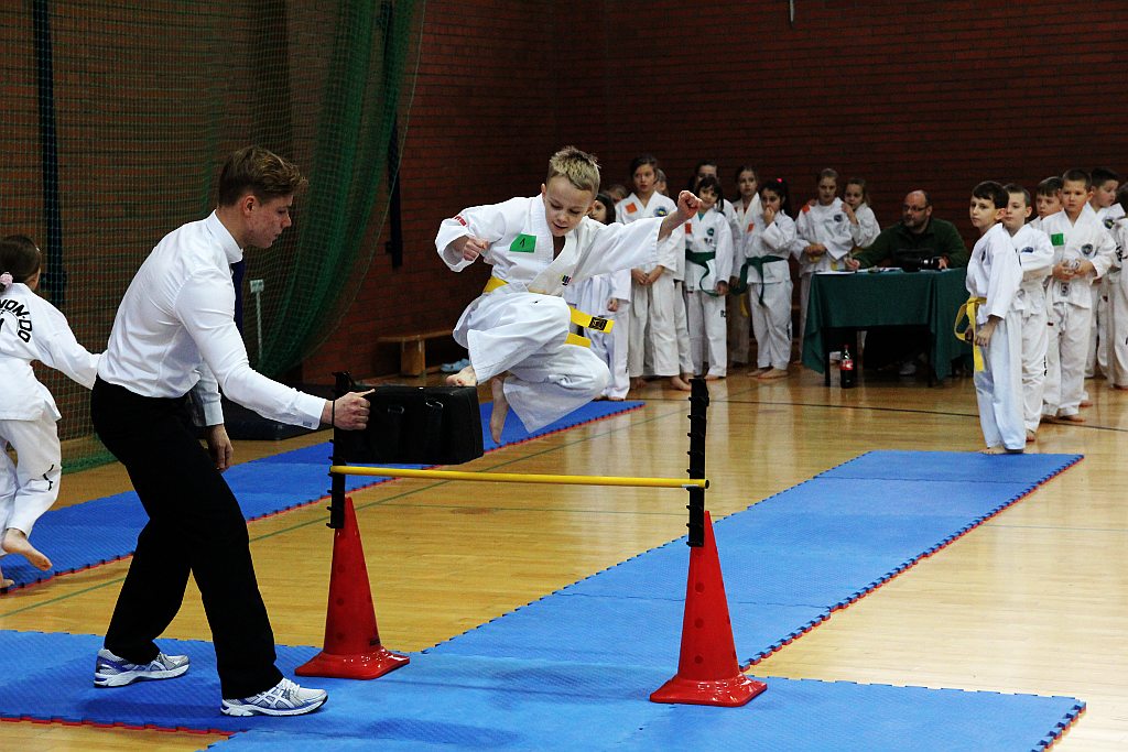Mistrzostwa Zagłębia Miedziowego w Taekwon-do