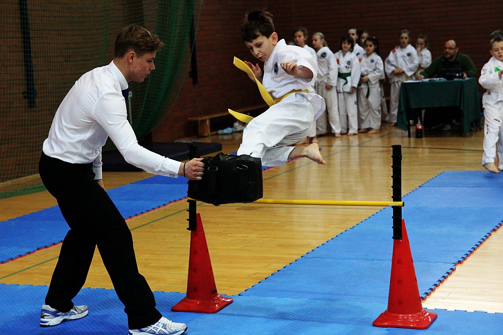 Mistrzostwa Zagłębia Miedziowego w Taekwon-do