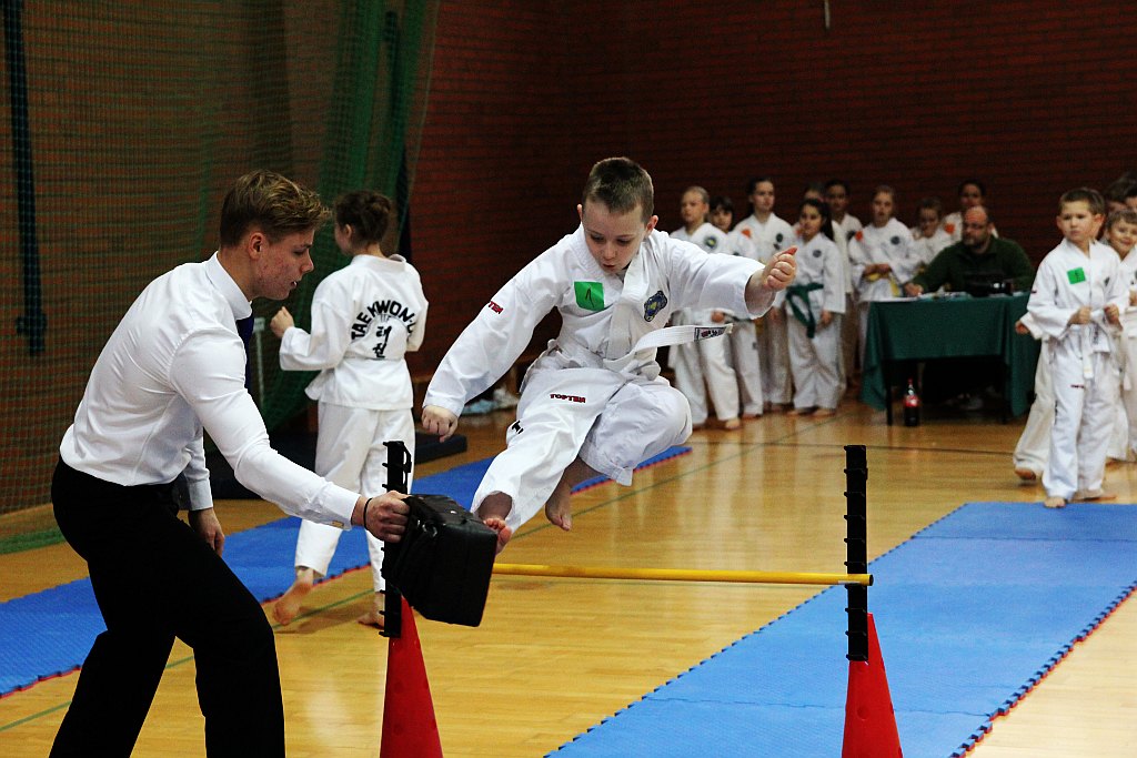 Mistrzostwa Zagłębia Miedziowego w Taekwon-do
