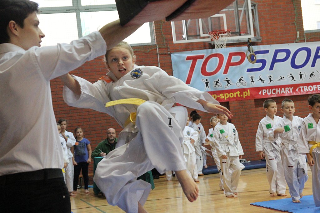 Mistrzostwa Zagłębia Miedziowego w Taekwon-do