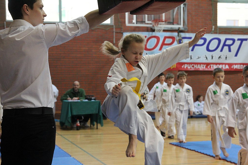 Mistrzostwa Zagłębia Miedziowego w Taekwon-do