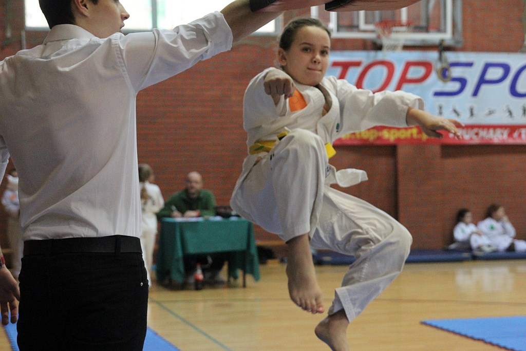 Mistrzostwa Zagłębia Miedziowego w Taekwon-do