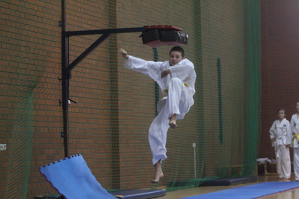 Mistrzostwa Zagłębia Miedziowego w Taekwon-do cz2