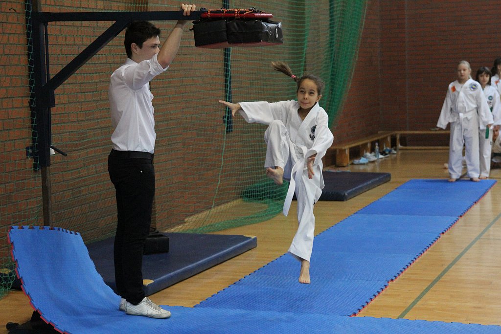 Mistrzostwa Zagłębia Miedziowego w Taekwon-do