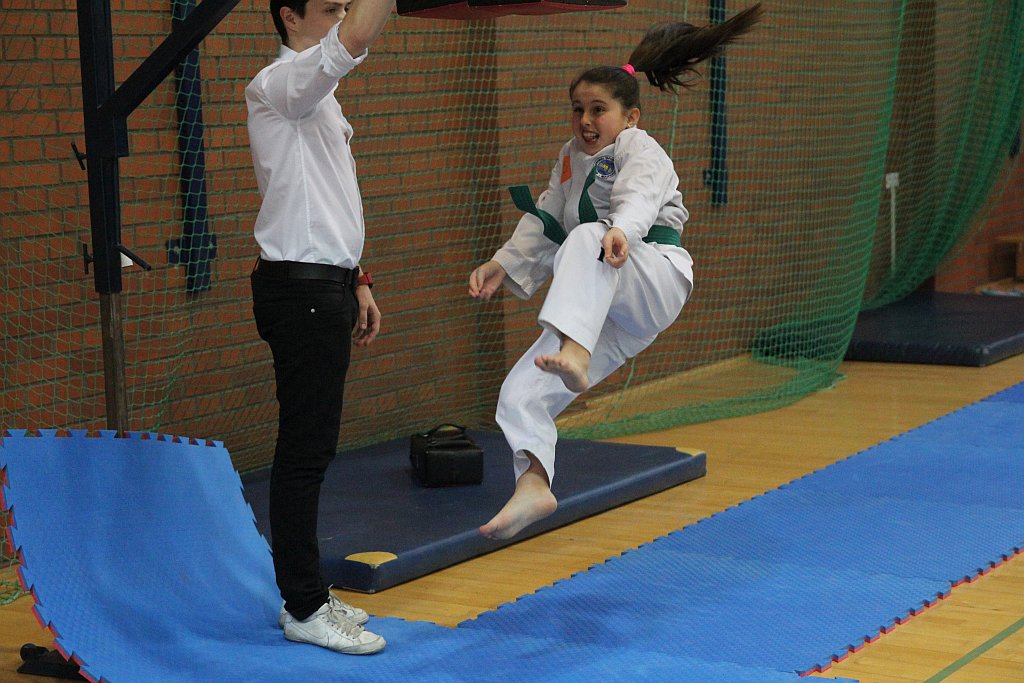 Mistrzostwa Zagłębia Miedziowego w Taekwon-do