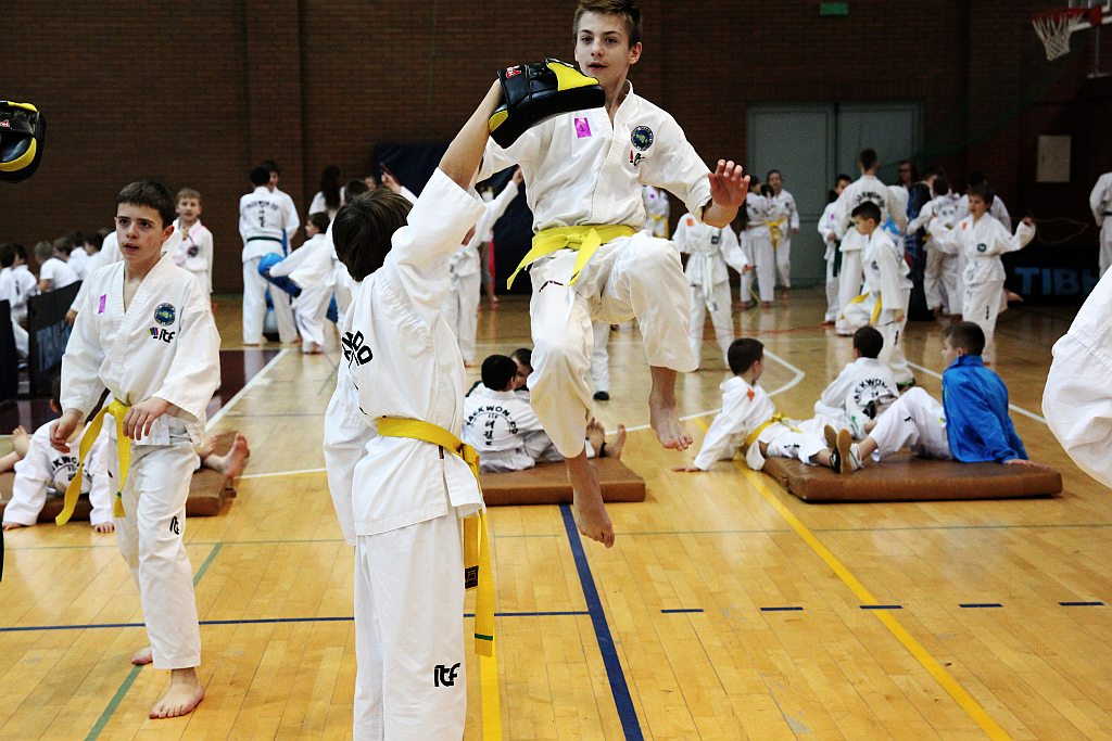 Mistrzostwa Zagłębia Miedziowego w Taekwon-do