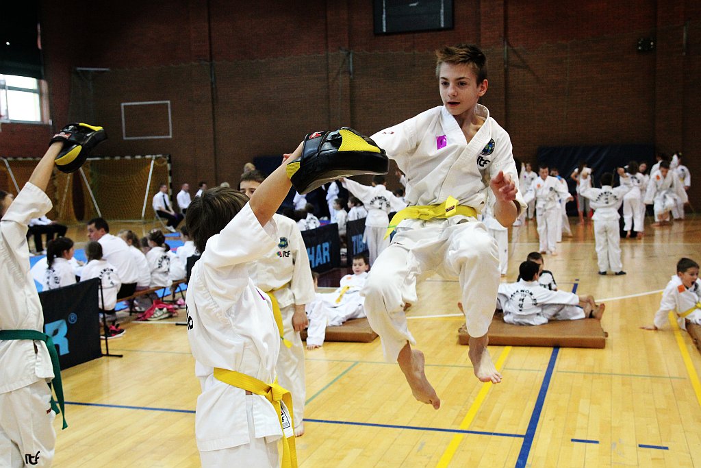 Mistrzostwa Zagłębia Miedziowego w Taekwon-do