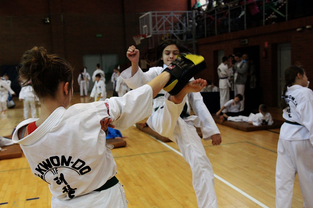 Mistrzostwa Zagłębia Miedziowego w Taekwon-do