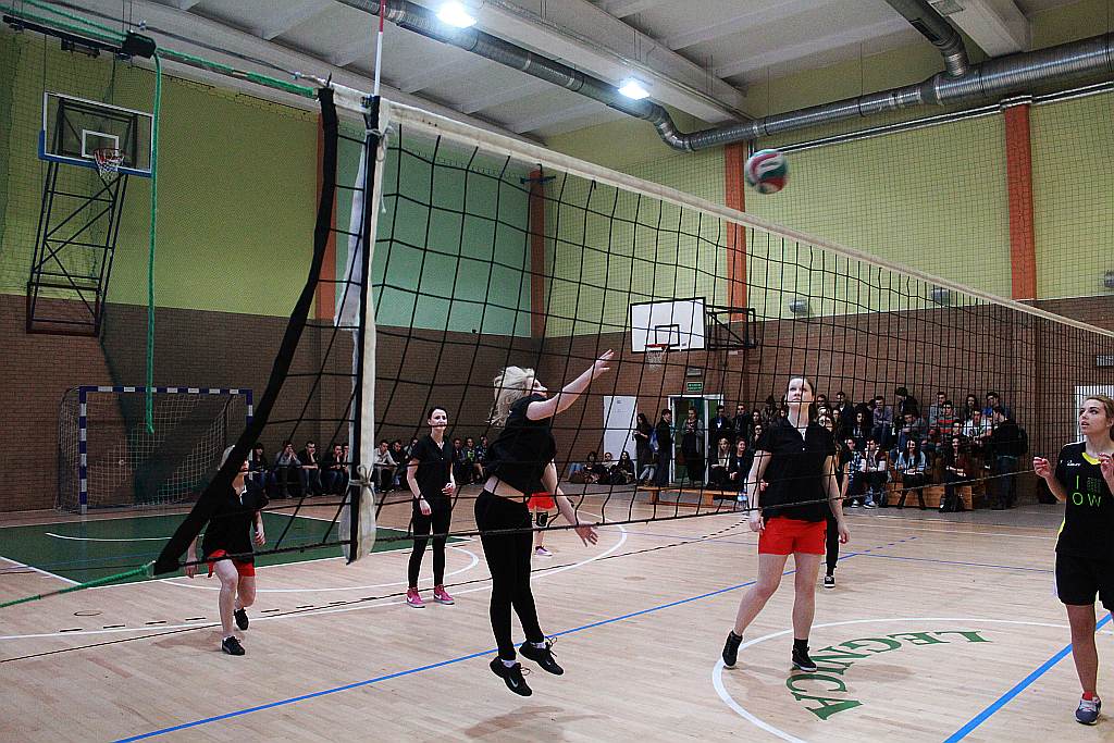 Siatkarki II LO obroniły tytuł mistrza Legnicy
