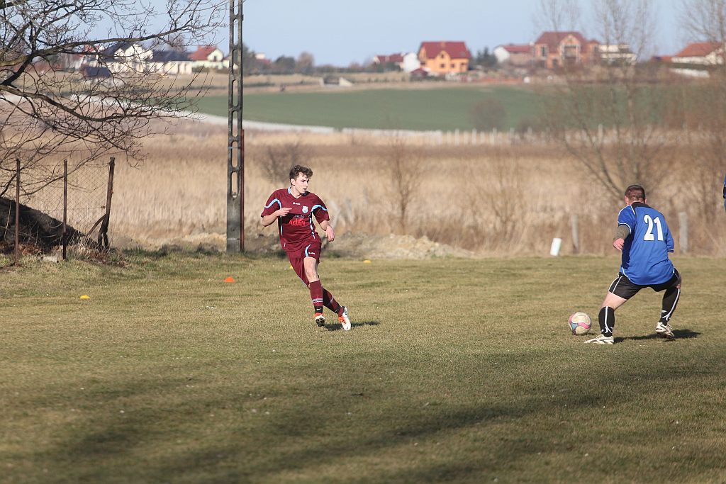 Sparing: Błękitni - Dąb 2:4