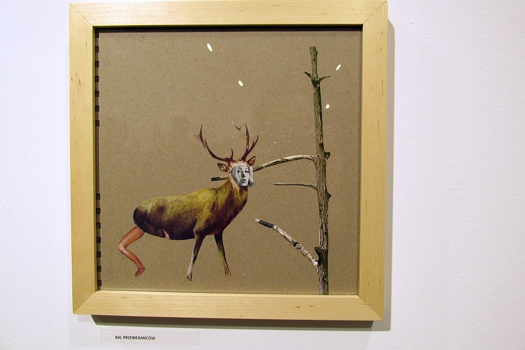 Basia Bańda. Wczoraj wieczorem