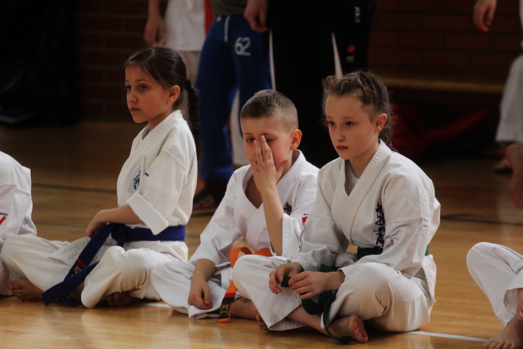 Silesia Cup Legnica