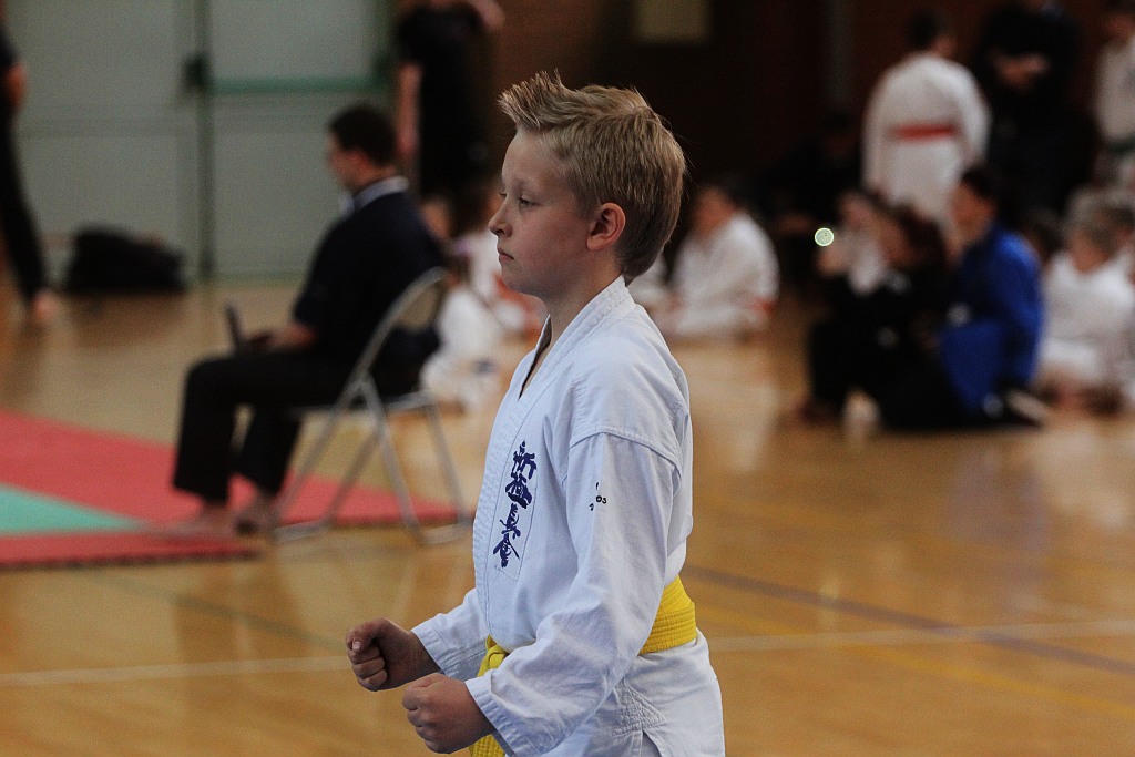 Silesia Cup Legnica