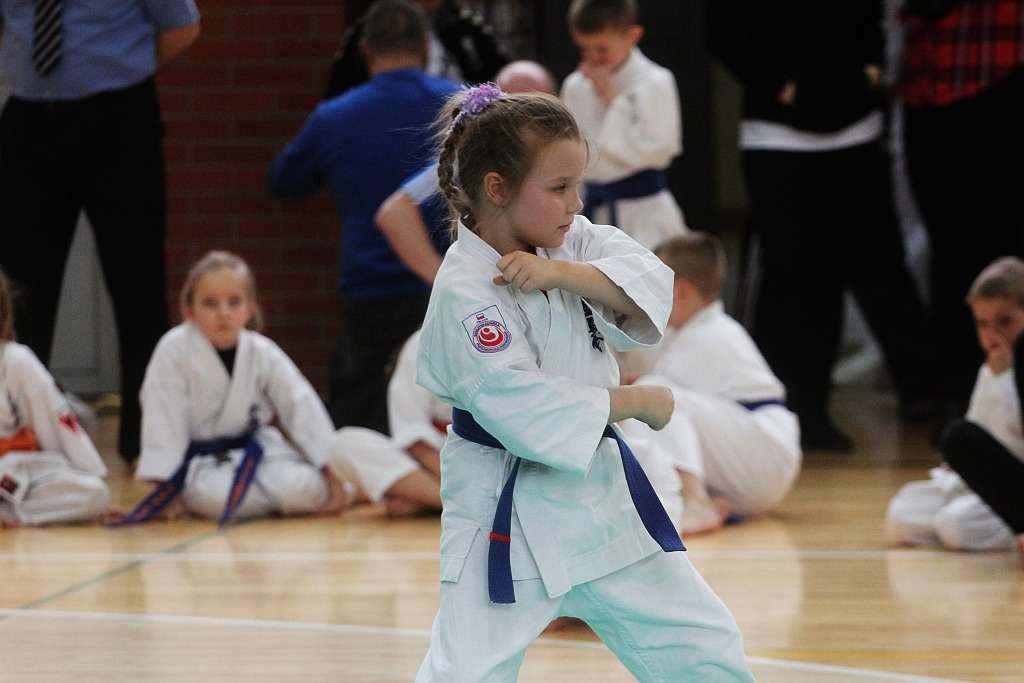 Silesia Cup Legnica