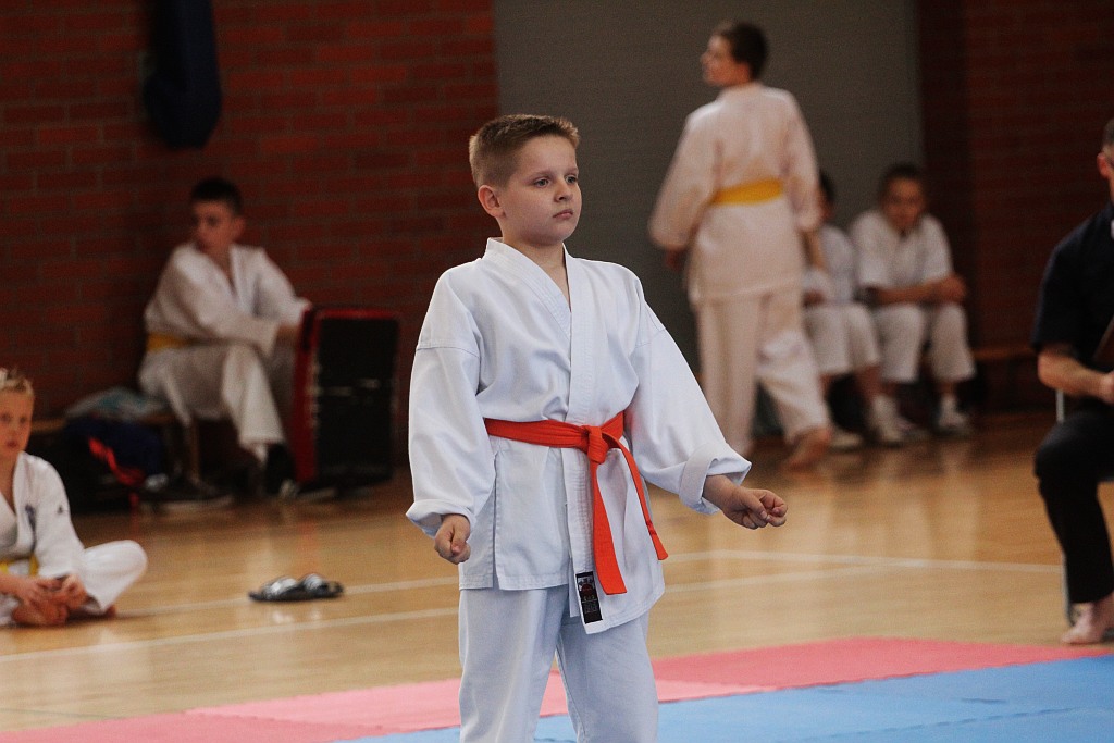 Silesia Cup Legnica
