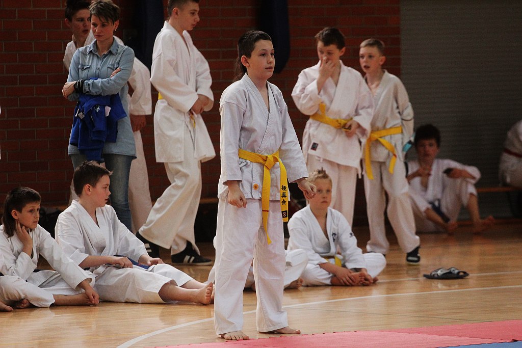 Silesia Cup Legnica