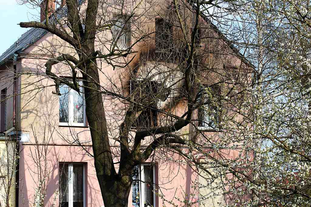 Pożar w Domu Dziecka. Nikomu nic się nie stało