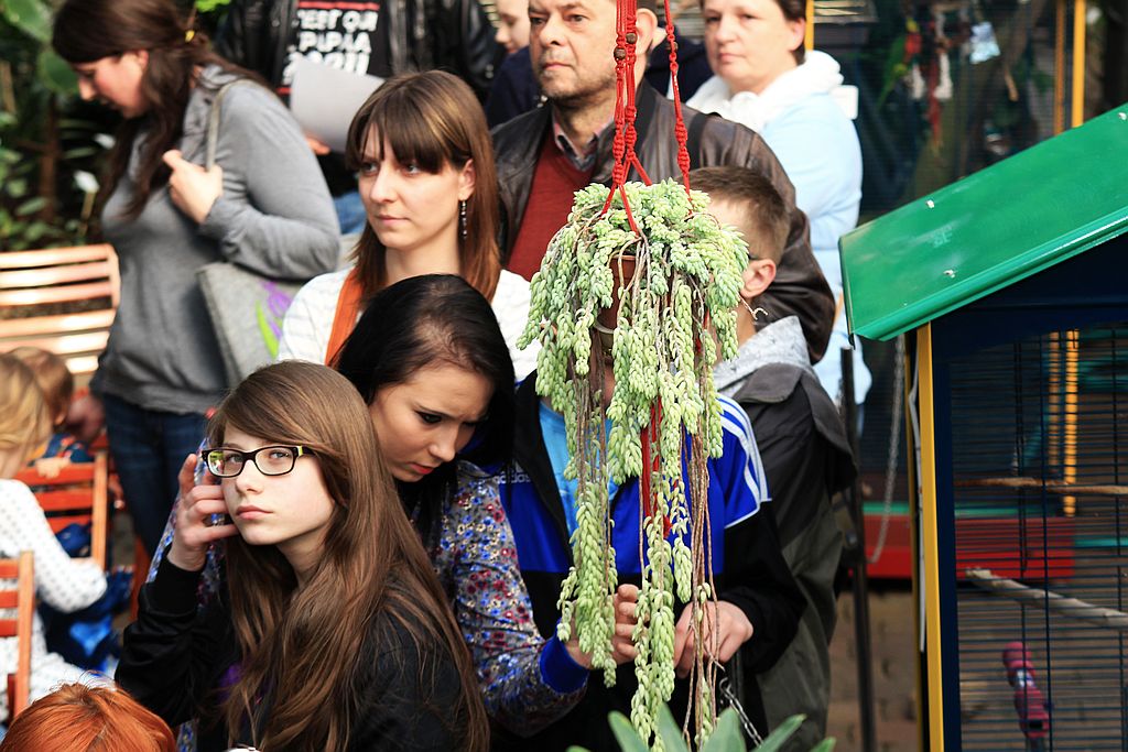Wielkanocne prace w palmiarni
