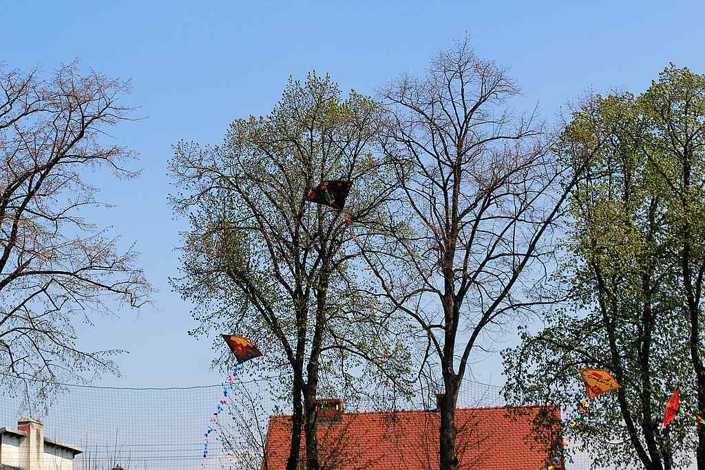 Zakończenie zlotu krajoznawczy 