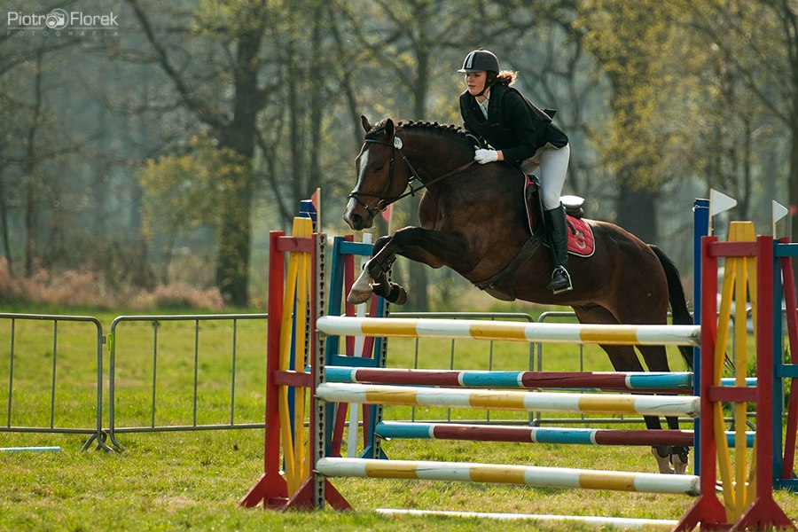 Puchar Polski WKKW 2014
