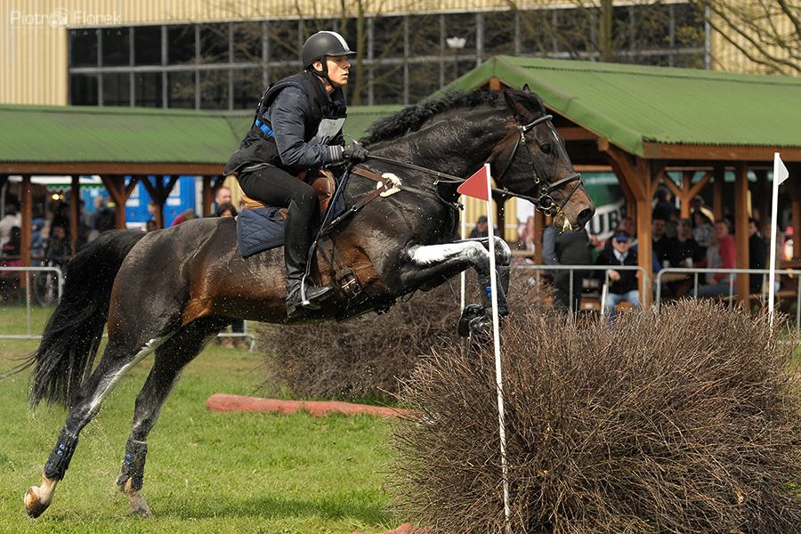 Puchar Polski WKKW 2014