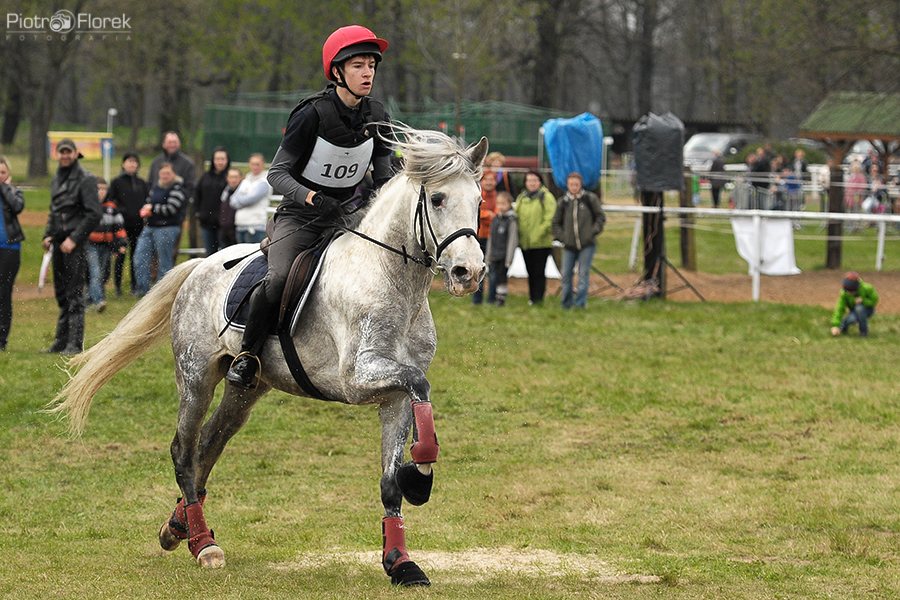 Puchar Polski WKKW 2014