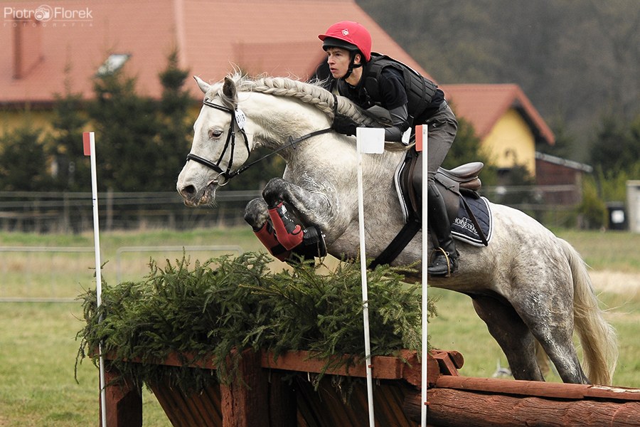 Puchar Polski WKKW 2014