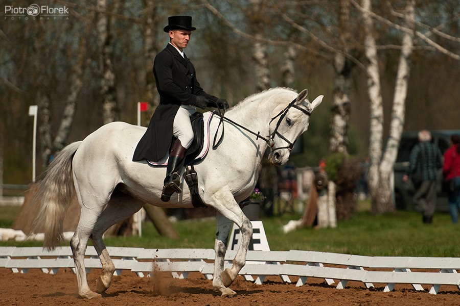 Puchar Polski WKKW 2014