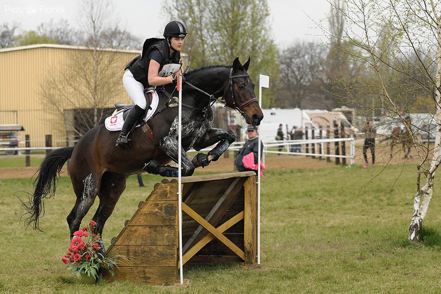 Puchar Polski WKKW 2014
