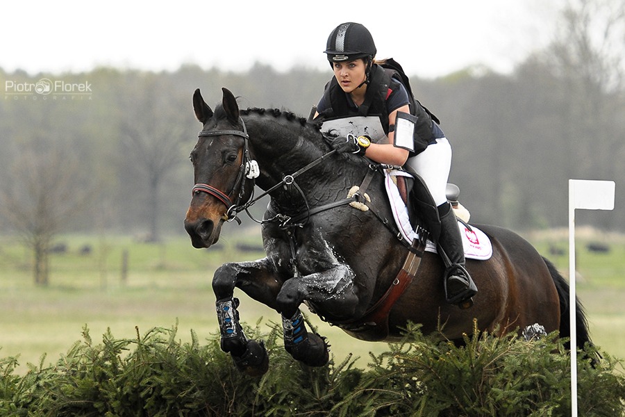 Puchar Polski WKKW 2014