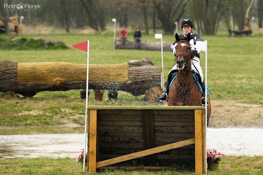 Puchar Polski WKKW 2014