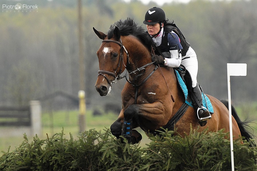 Puchar Polski WKKW 2014