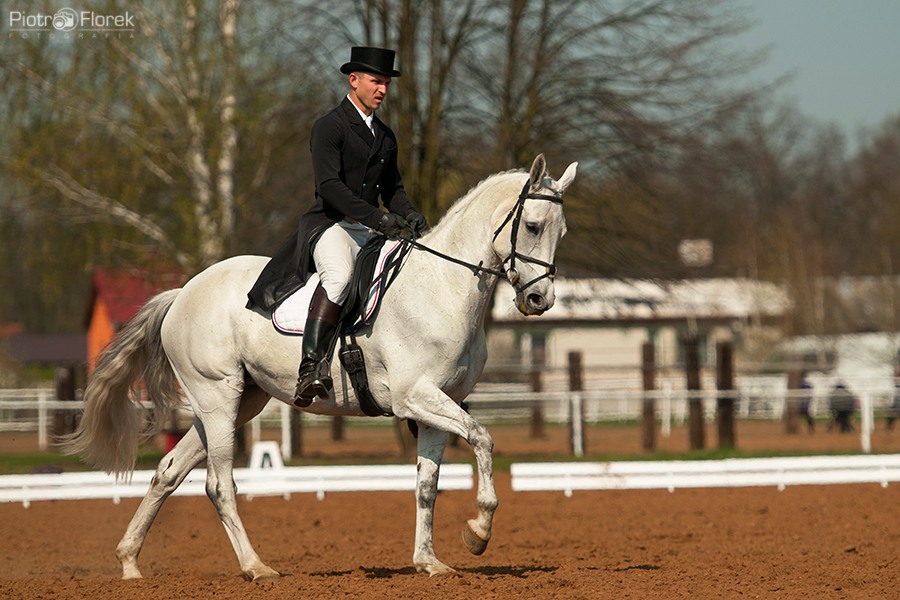 Puchar Polski WKKW 2014