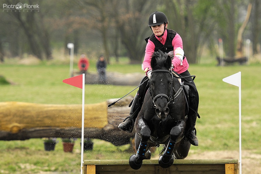 Puchar Polski WKKW 2014