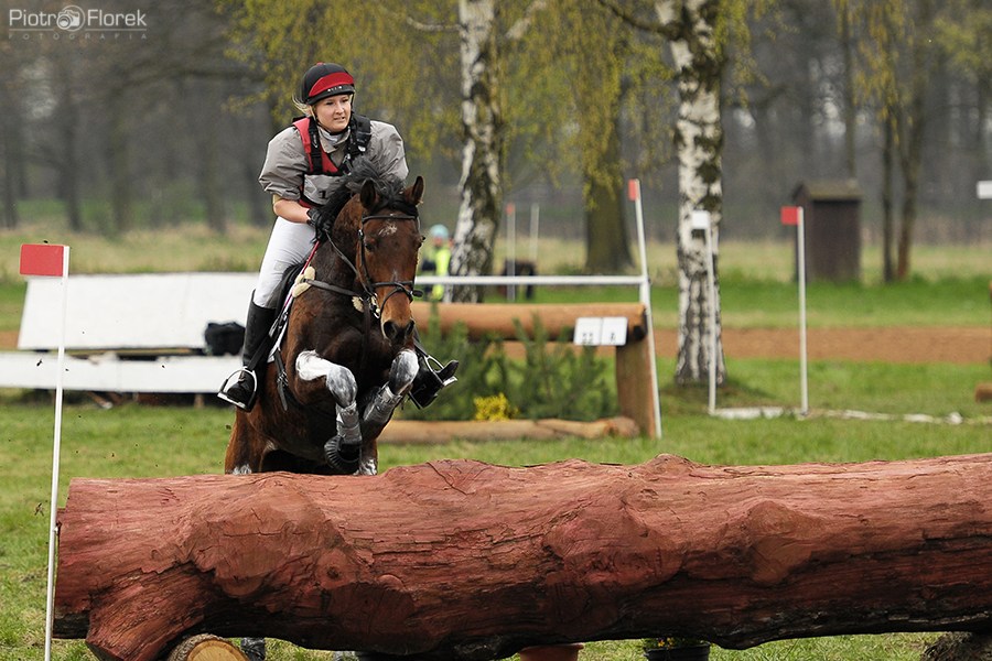 Puchar Polski WKKW 2014