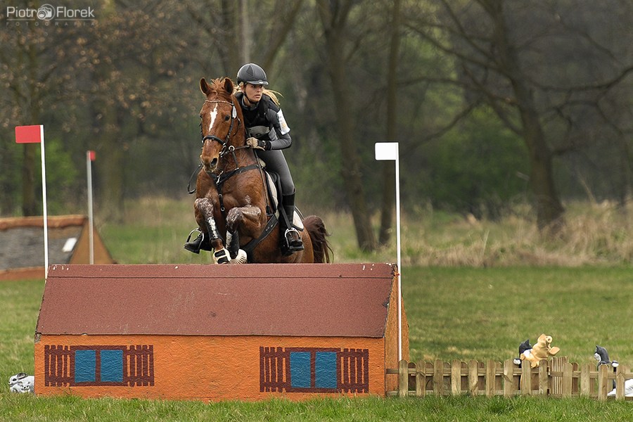 Puchar Polski WKKW 2014