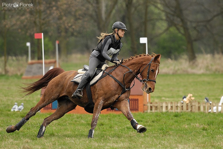 Puchar Polski WKKW 2014