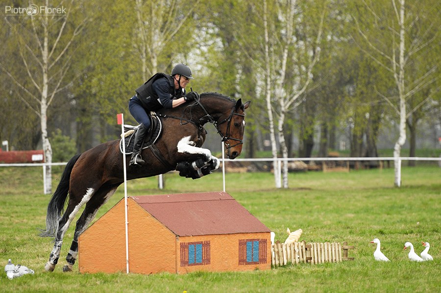 Puchar Polski WKKW 2014