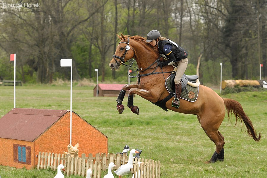 Puchar Polski WKKW 2014
