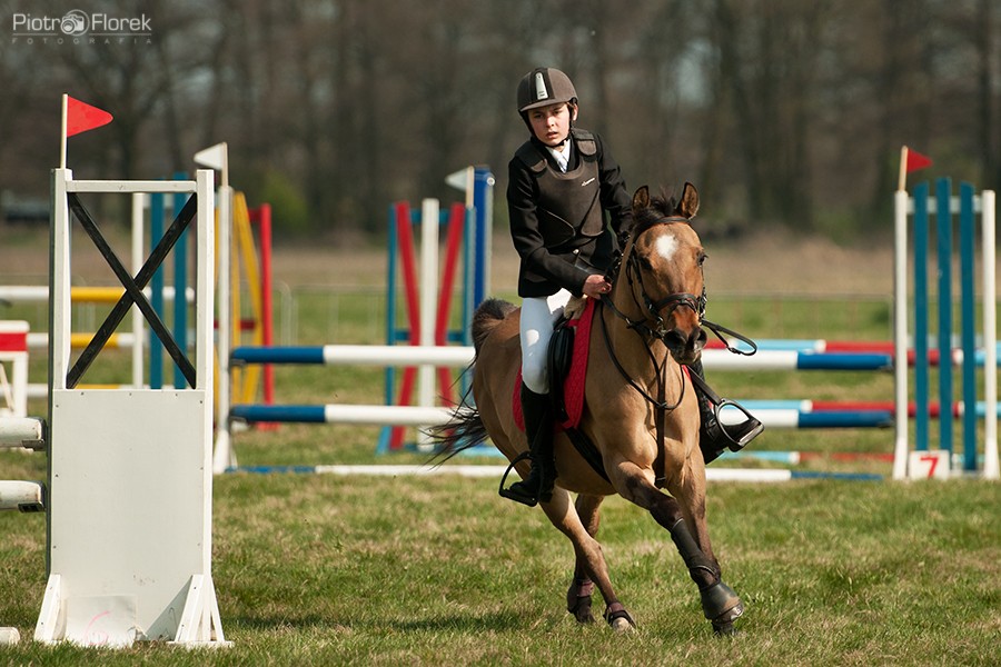 Puchar Polski WKKW 2014
