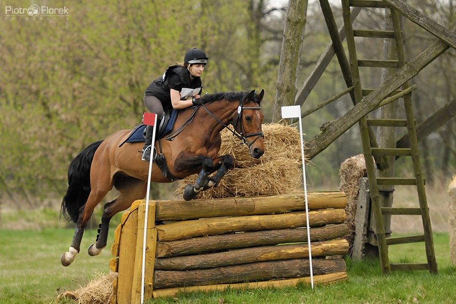 Puchar Polski WKKW 2014