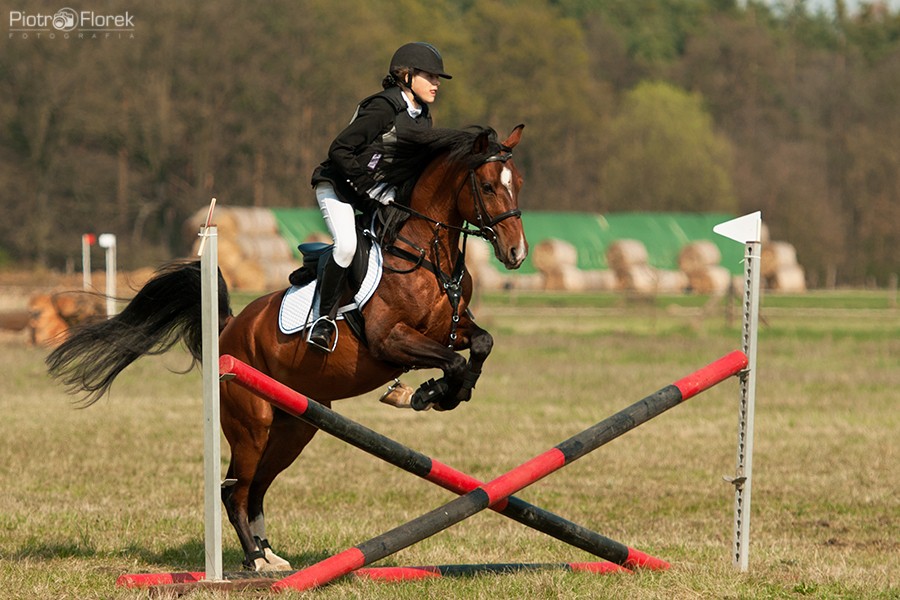 Puchar Polski WKKW 2014