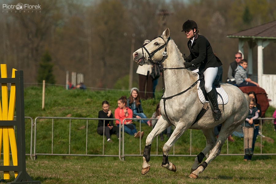 Puchar Polski WKKW 2014