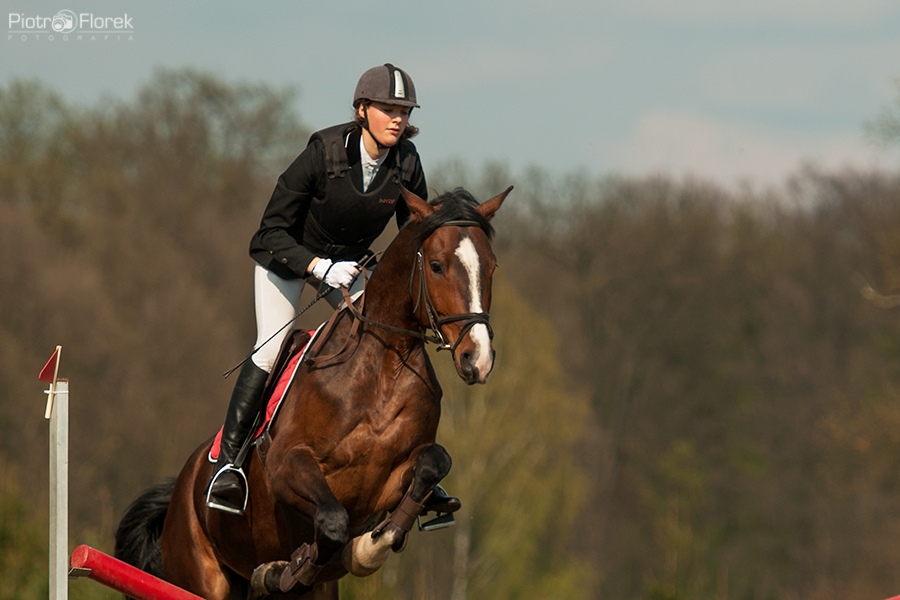 Puchar Polski WKKW 2014