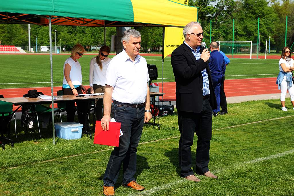 Piknik Siatkarski w parku