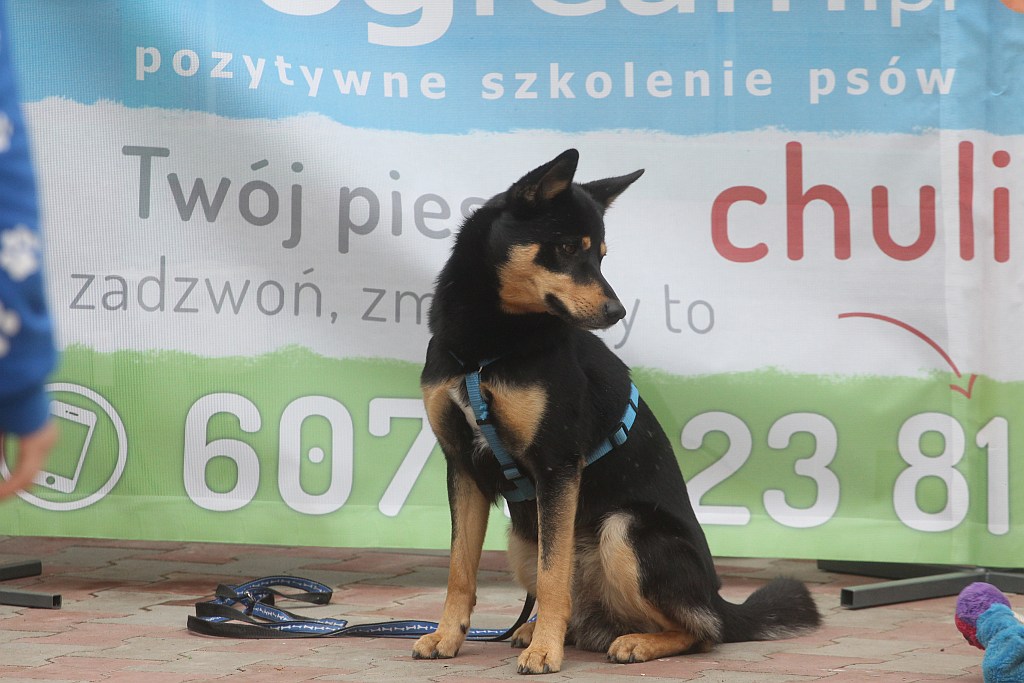  Majówka z Majewskimi